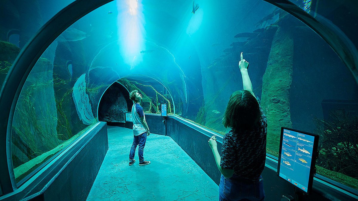 STMediaCH's tweet photo. Gewusst? #Aquatis in #Lausanne ist das größte Süßwasseraquarium Europas und lädt die Besucher ein, in eine Reise durch fünf Kontinente einzutauchen und mehr als 300 verschiedene Tierarten kennenzulernen!
@LausanneCO  @regionduleman
https://t.co/nXgsYmt0eb https://t.co/L7rmMV6eiQ