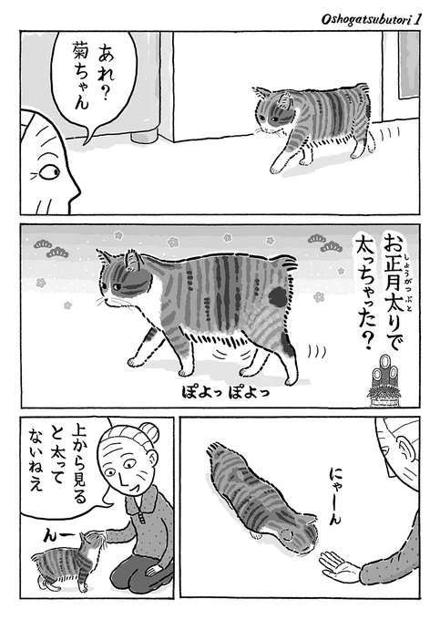 2ページ猫漫画「お正月太り?」 #猫の菊ちゃん 