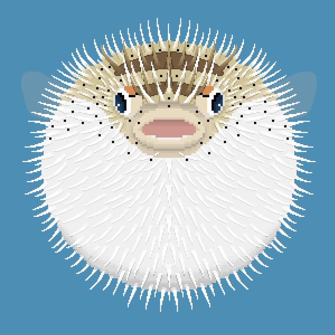 ハリセンボンのtwitterイラスト検索結果