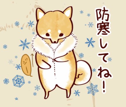 わんこの皆さぁぁん‼️秘密のチャックちゃんと閉めてますかぁぁあ‼️ 