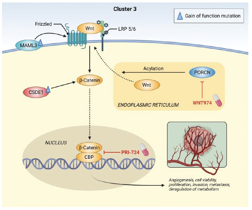 DraPicon's tweet image. "Personalized management of pheochromocytoma and paraganglioma". 

Lectura muy recomendable. Conocer bien el perfil bioquímico y de receptores que subyace a los diferentes Clusters nos permite dar en la diana🎯 

pubmed.ncbi.nlm.nih.gov/34147030/