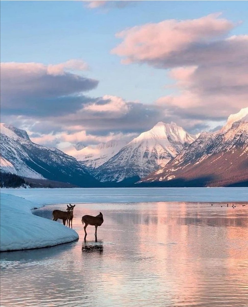 MirkoVasi2's tweet photo. Amazing place ❄️🌲🦌 https://t.co/SaVOhLmA6C