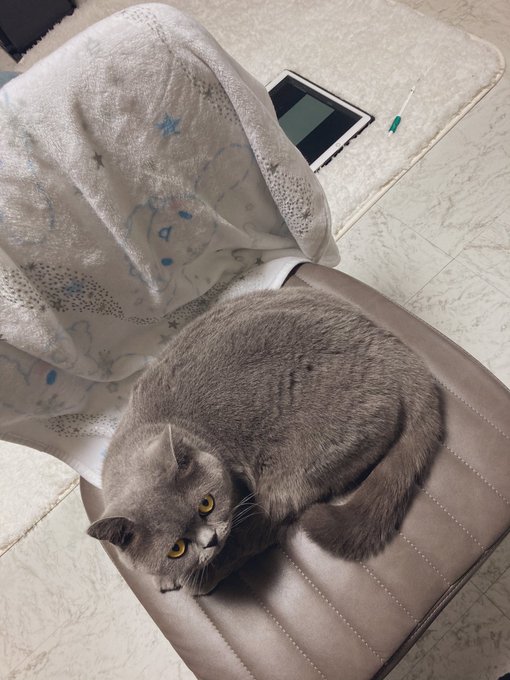 椅子を取られたので床で描くしかない 