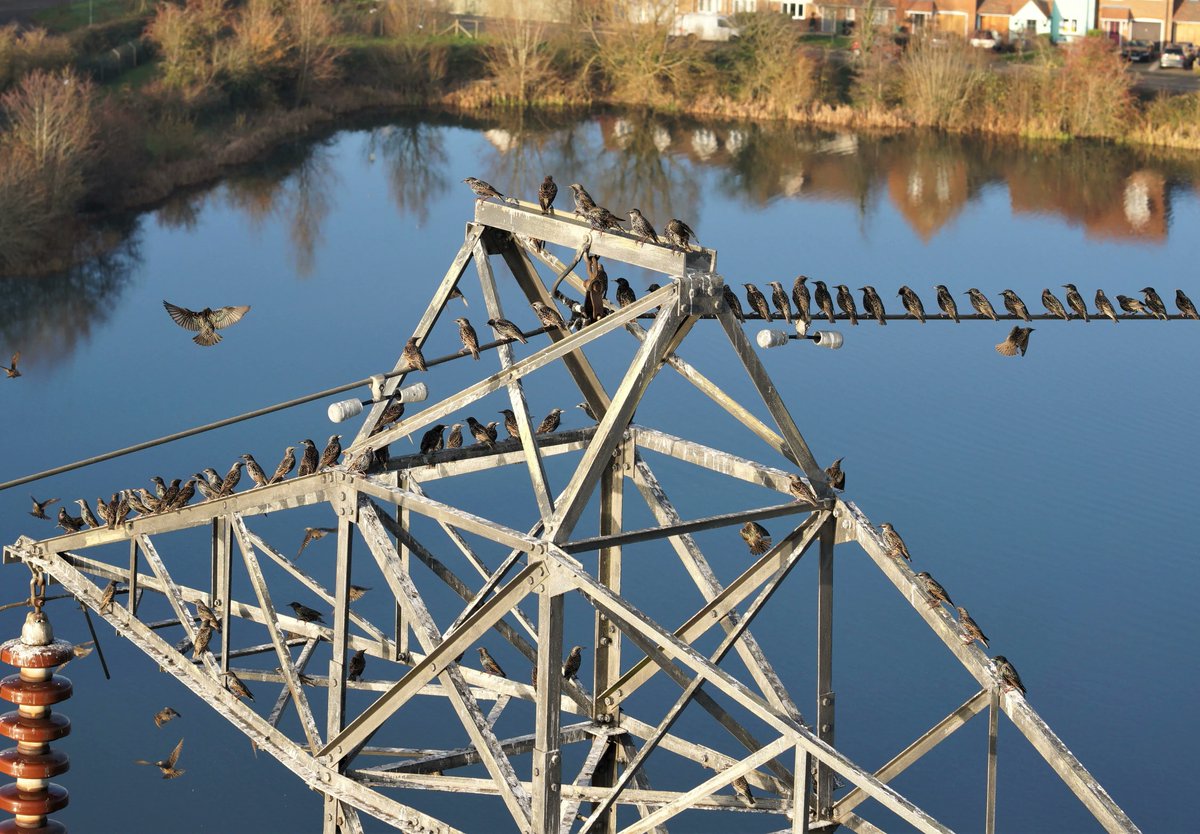 Phil Buchan - Cyberhawk - Drones (@cyberhawk_phil) on Twitter photo A murmuration of starlings captured by a <a href="/TheCyberhawk/">Cyberhawk™</a> team inspecting overhead powerlines.
#drones #drone #UAV #UAS #Cyberhawk #unmanned #electricity #utilities #powergrid #towers A murmuration of starlings captured by a <a href="/TheCyberhawk/">Cyberhawk™</a> team inspecting overhead powerlines.
#drones #drone #UAV #UAS #Cyberhawk #unmanned #electricity #utilities #powergrid #towers