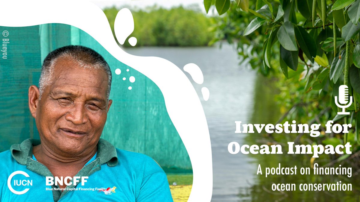 A shrimp farmer restoring mangroves in a pond. An impact investor in a boardroom. How do we connect them? How do we get investments for Nature-based Solutions, like our farmer’s pond, & create ➕ impact for people & planet? ➡️ smarturl.it/oceanimpactpod… #InvestingForOceanImpact