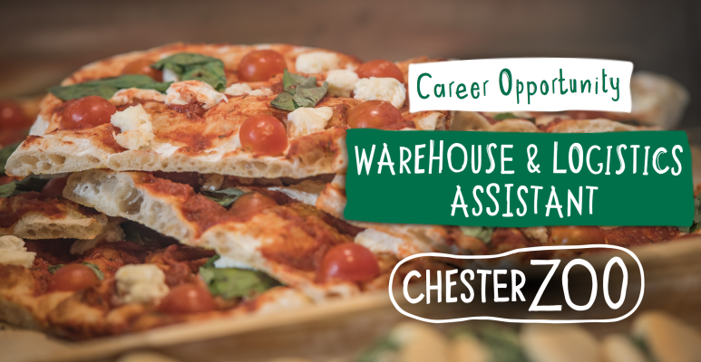 JobsinTourismUK's tweet photo. Brilliant opportunity to support the busy Food &amp; Beverage operations at @chesterzoo, with typical working hours of 7am to 3.30pm, so a nice early finish.

Permanent contract, working 40 hours per week.

Read the full job ad here: https://t.co/9CVXlEBXrg

#JobsinZoos #Chester https://t.co/Rle0KIAOPV
