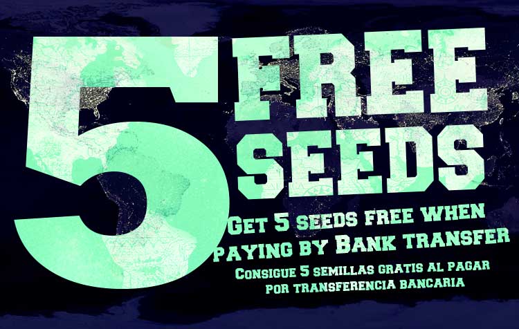 Make it Easy ➡️ 5 Free Seeds

At worldofseeds.com

#WorldOfSeeds