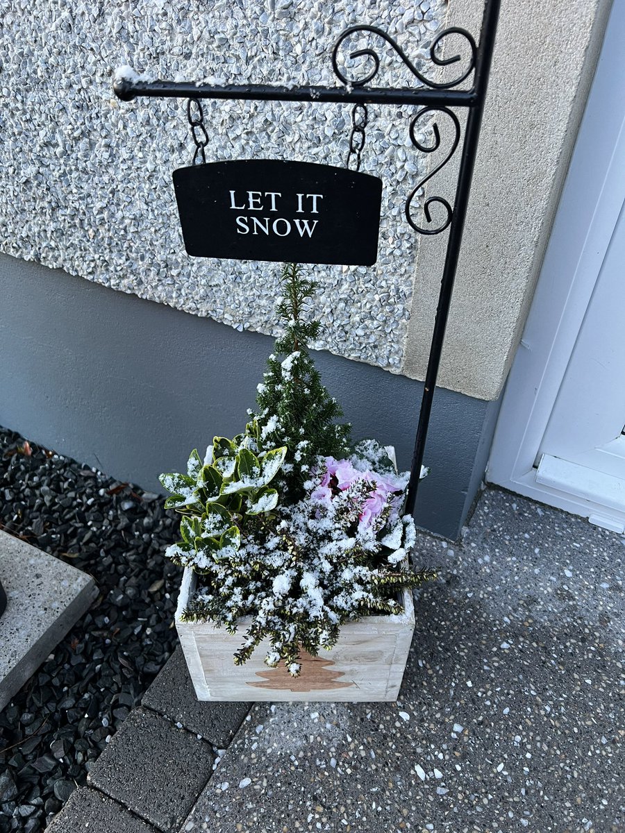 EmmaSGarrett's tweet image. May as well just leave this out now … #JanuarySnow