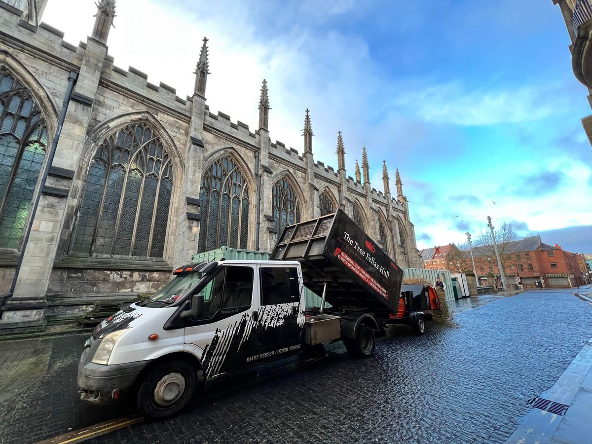 The Tree Fellas Hull Ltd tweet media