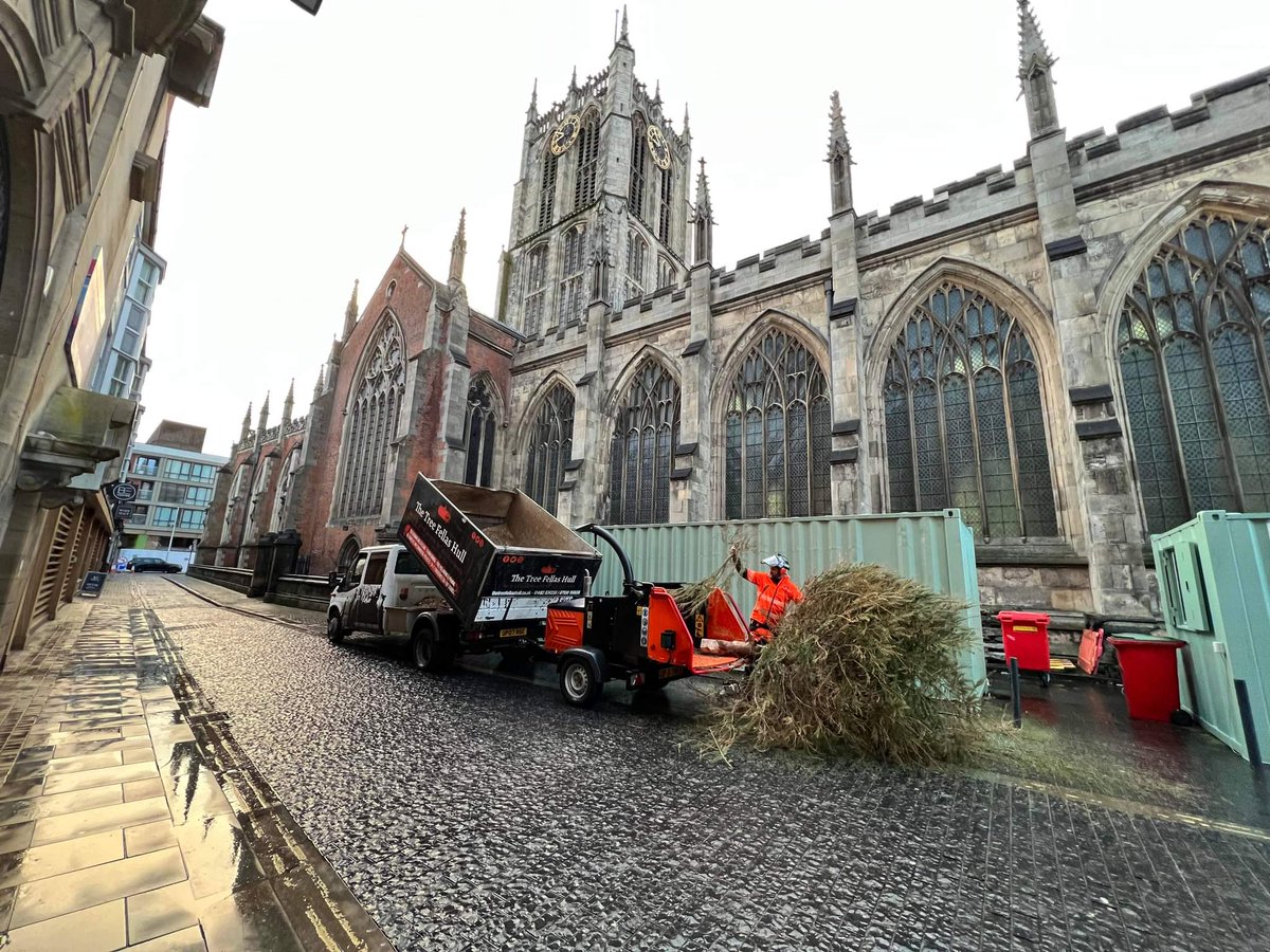 The Tree Fellas Hull Ltd tweet media