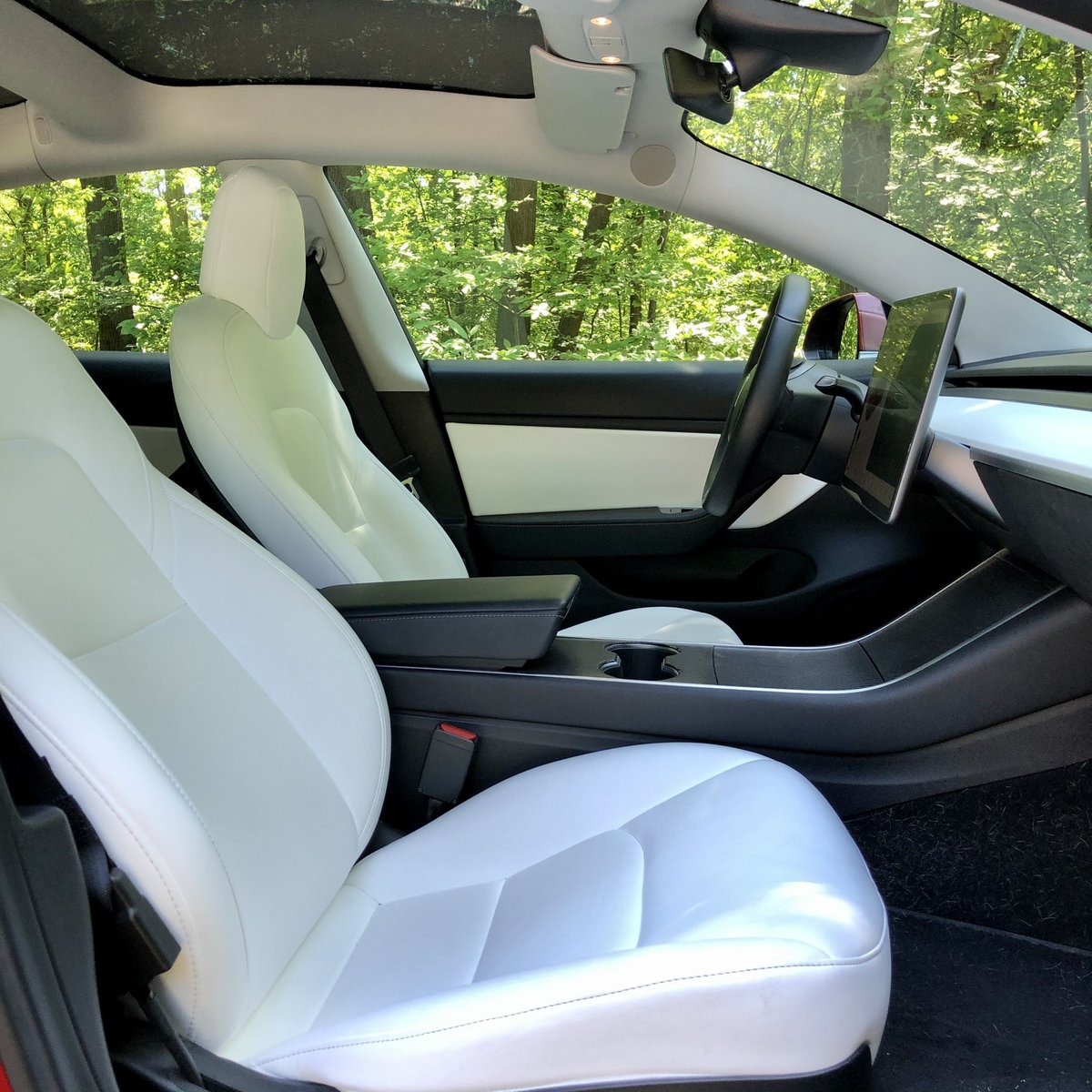 Saul Lopez tweet media