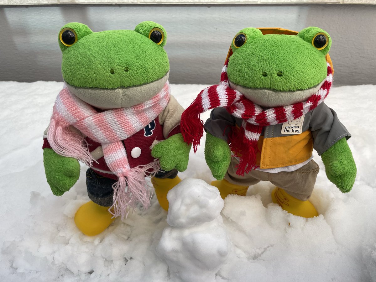 gichorabbit's tweet photo. 🐸東京にもいっぱい雪が降ったので
雪だるま作ったよ〜⛄️💕
#コポー #カエル #ぬい撮り #雪だるま https://t.co/KEkAWw8zU5
