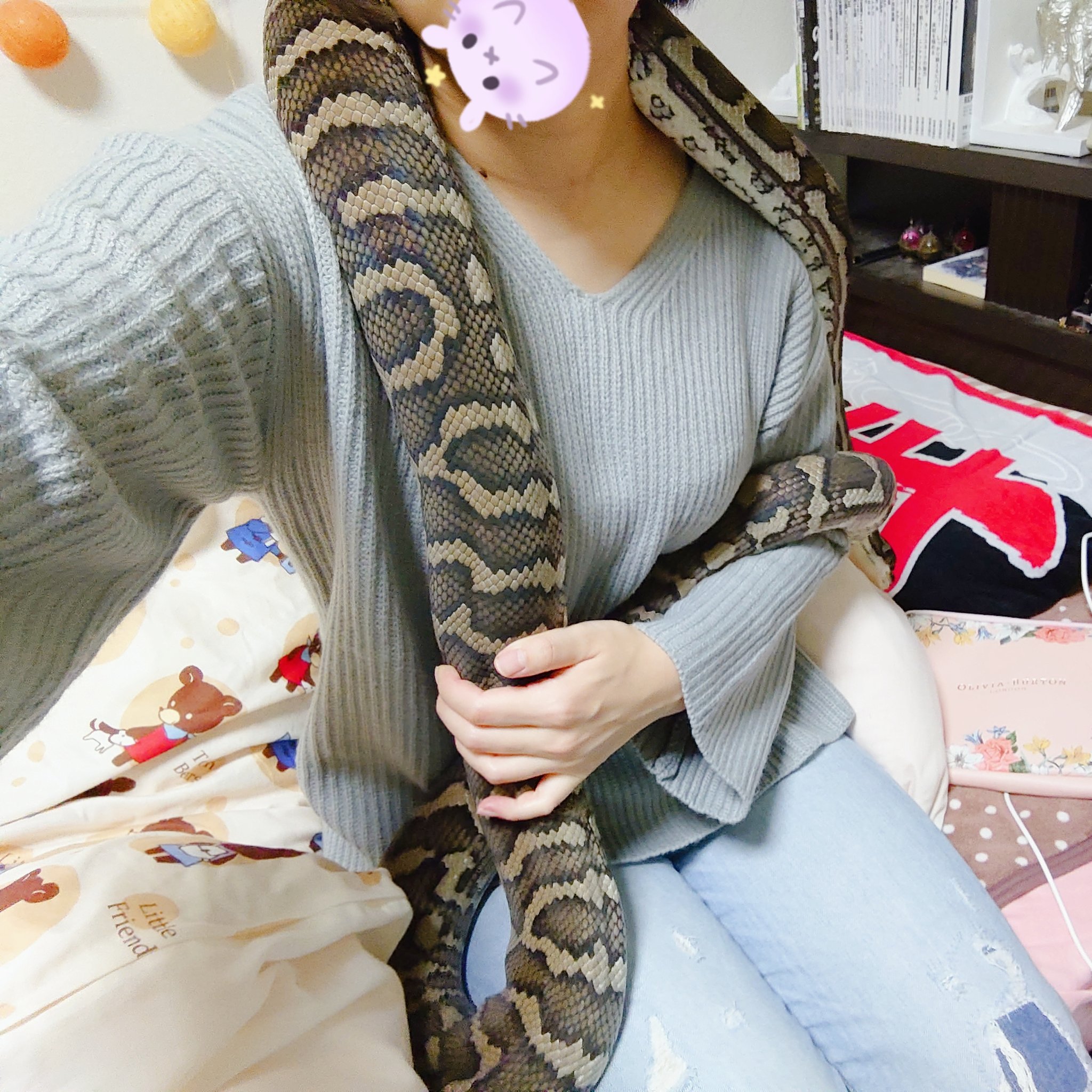 きむちゃん🐍♡* (@kim_reptiles) / X きむちゃん♡