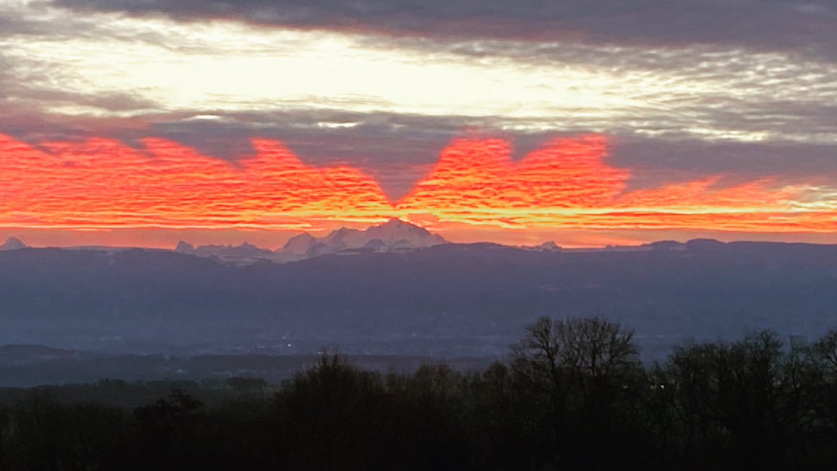 Physics Cakes tweet media