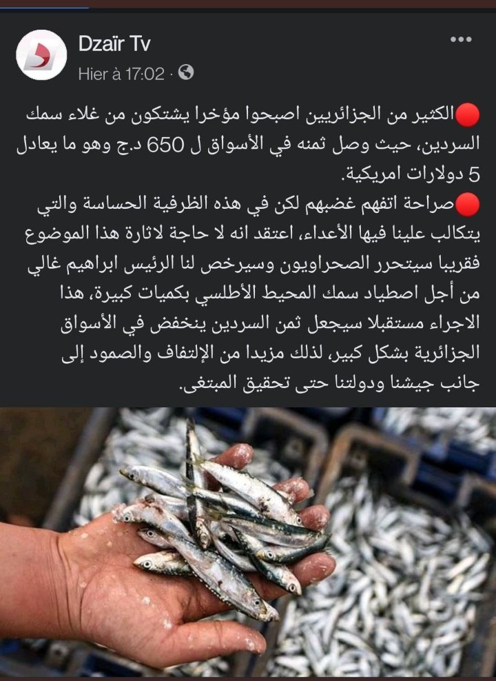  تليلة الرازي tweet media