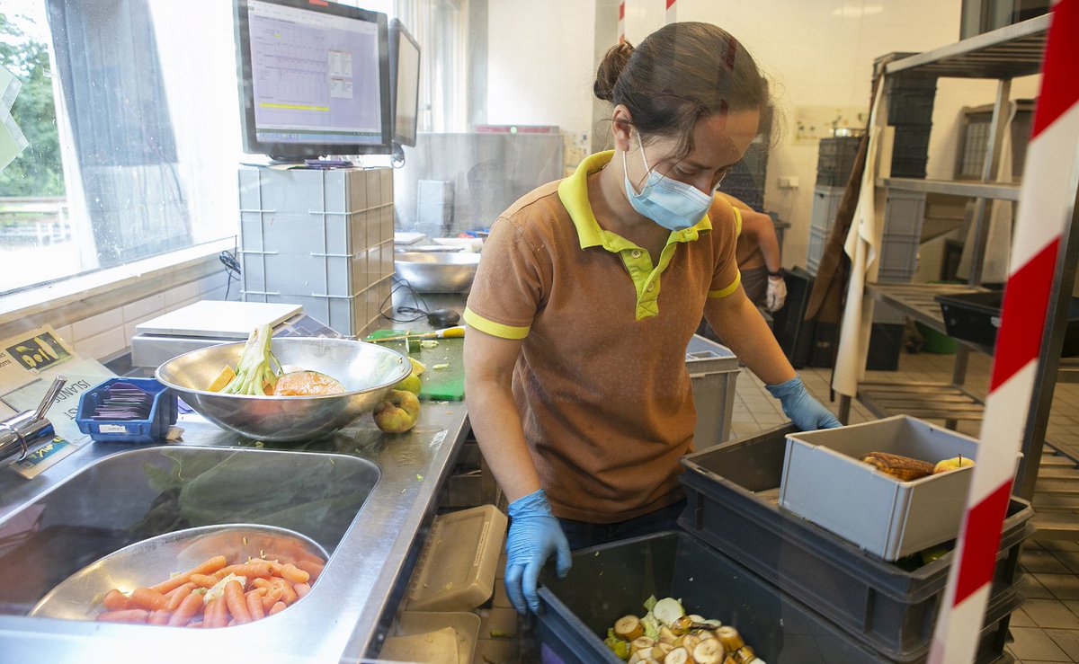 Wil jij helpen in het hart van onze organisatie? Wij zijn dringend op zoek naar vrijwilligers voor de Centrale Keuken! Hier wordt dagelijks met een klein, gezellig en hecht team het eten voor onze dieren klaargemaakt. 🍎🥦🍌 bit.ly/AAPvrijwillige… #vacature #vrijwilligerswerk