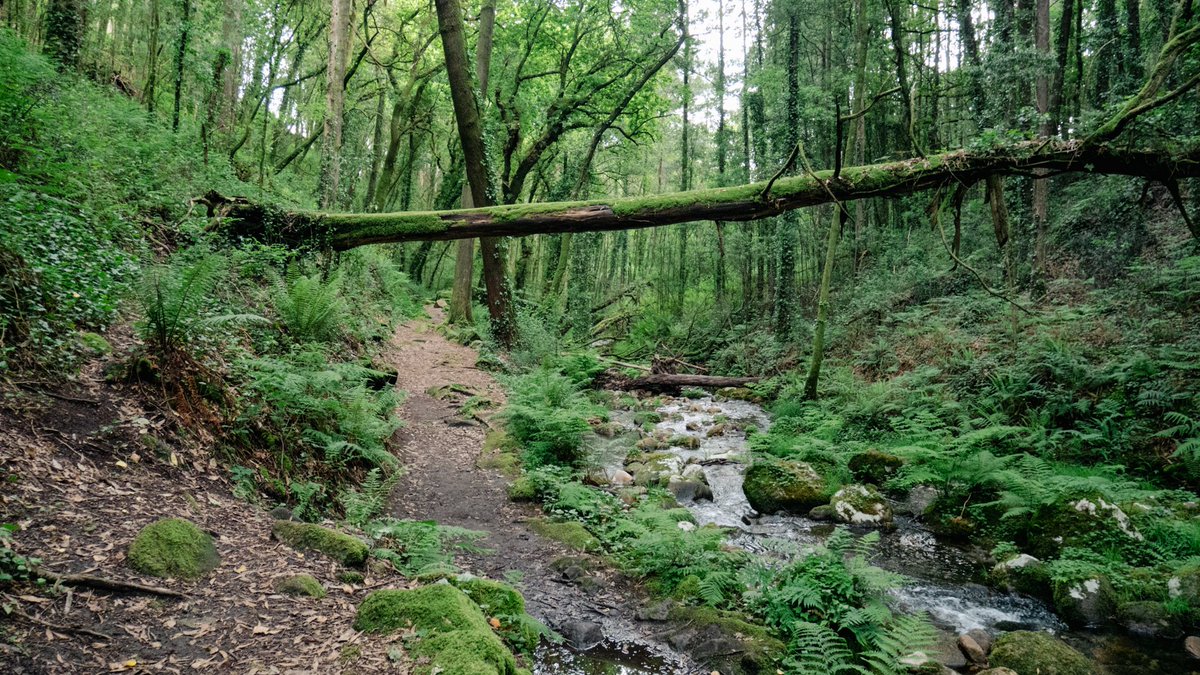 EatWalkabout's tweet photo. ¿Nunca habias oido hablar de Moaña y no tienes seguro qué ver y hacer? 𝗤𝘂𝗲 𝘃𝗲𝗿 𝗲𝗻 𝗠𝗼𝗮ñ𝗮, 𝗚𝗮𝗹𝗶𝗰𝗶𝗮: 𝗧𝗼𝗽 𝟴 𝗔𝗰𝘁𝗶𝘃𝗶𝗱𝗮𝗱𝗲𝘀, las mejores actividades para que puedas disfrutar al máximo en Moaña su naturaleza, gastronomía... https://t.co/Ugysq6nhwB https://t.co/5H4zmy75Zg