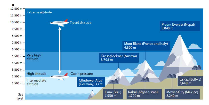 gonzaeperez's tweet photo. VIAJES E INSUFICIENCIA CARDÍACA
Recomendaciones prácticas👌
-Planear 4-6 sem antes
-Considerar: destino, altura, clima, polución, requerimiento de oxígeno
-Evitar DEPLECIÓN DE VOLUMEN

Vía @NatRevCardiol 
https://t.co/ADKyRNfqDL https://t.co/2BS7RY2Slo