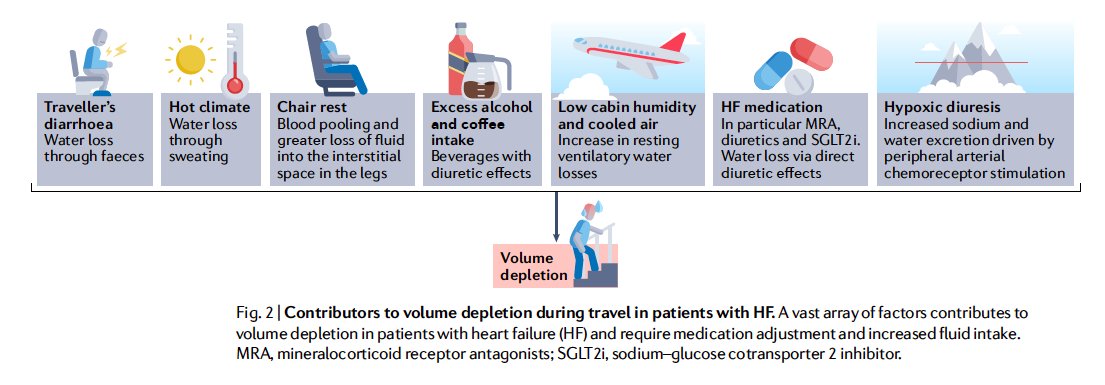 gonzaeperez's tweet photo. VIAJES E INSUFICIENCIA CARDÍACA
Recomendaciones prácticas👌
-Planear 4-6 sem antes
-Considerar: destino, altura, clima, polución, requerimiento de oxígeno
-Evitar DEPLECIÓN DE VOLUMEN

Vía @NatRevCardiol 
https://t.co/ADKyRNfqDL https://t.co/2BS7RY2Slo