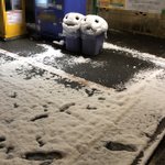 ごみ箱の上に雪が降り積もり…双子の怪物になってしまっていた!