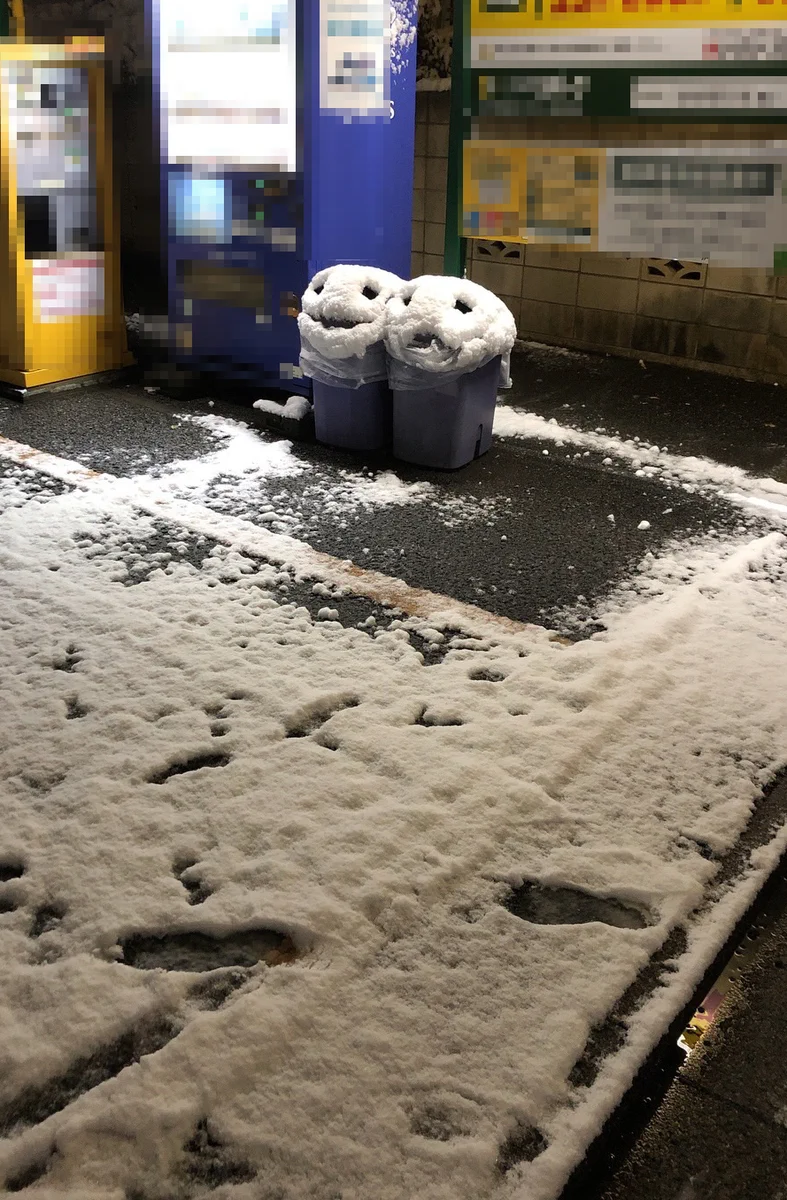 ごみ箱の上に雪が降り積もり…双子の怪物になってしまっていた！