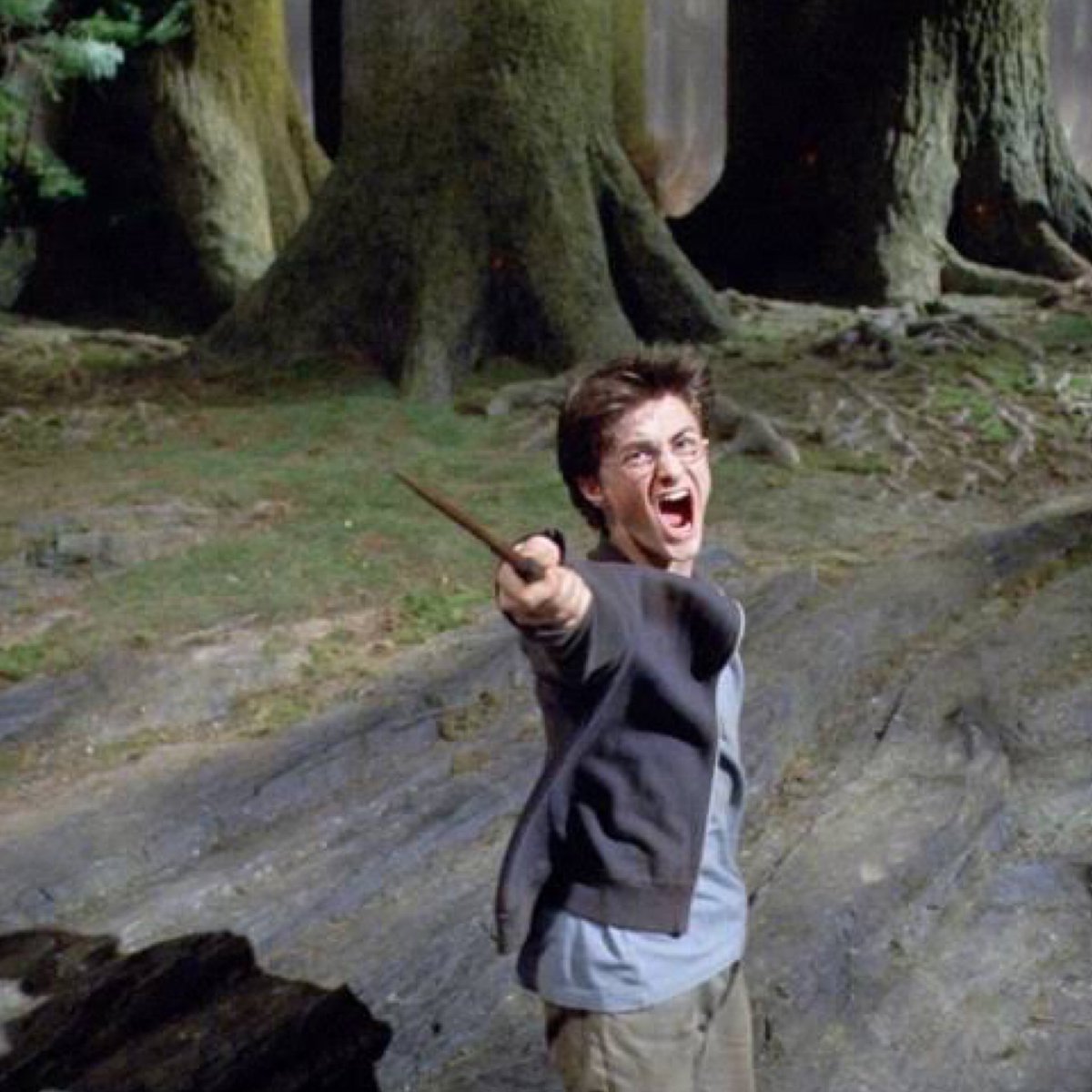TheHPfacts's tweet photo. 7 year old me            24 year old me
with a random          with a random
stick i found               stick i found https://t.co/iDDexedQsc