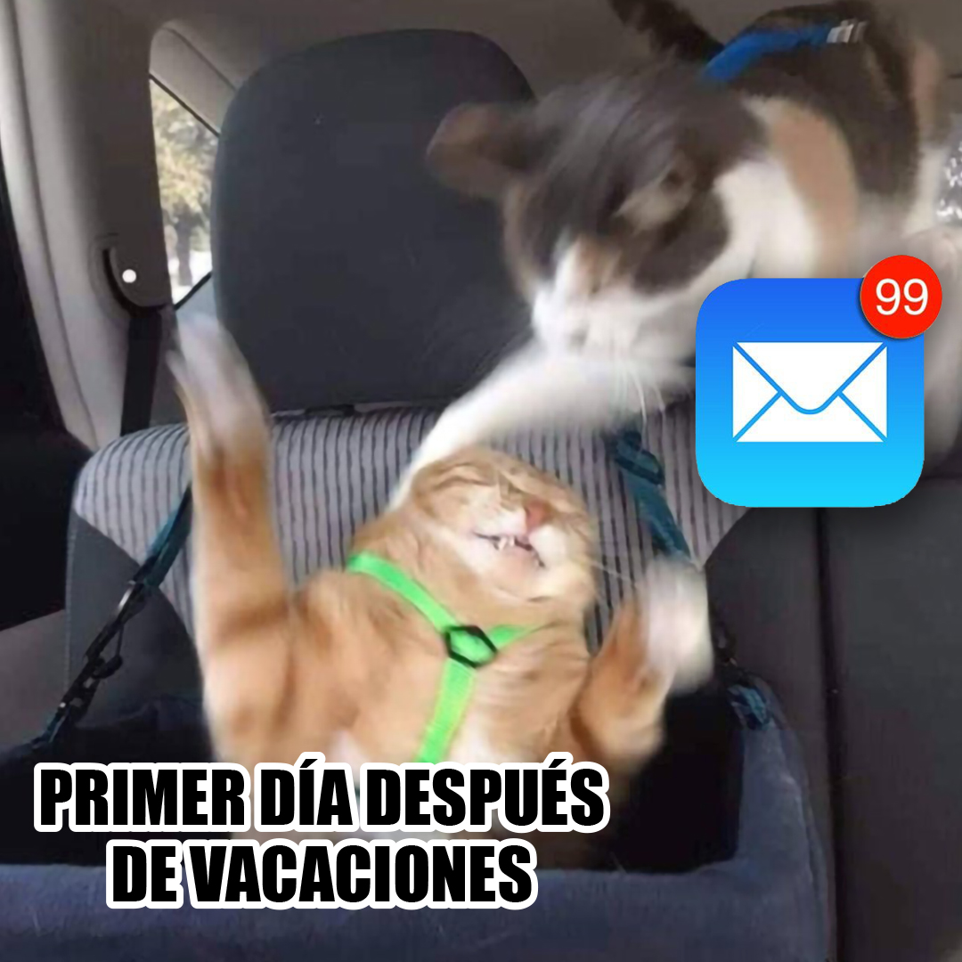 Impresum's tweet photo. Ufff… Ánimo con la vuelta y con la bandeja de correo. 😅 Primer #viernesdememe de 2022 para desearos una feliz reentrada.
#viernes #memes #memesdiseñiles #vuelta #2022 #imprenta #impresum #vamooo https://t.co/052uoBVkl2