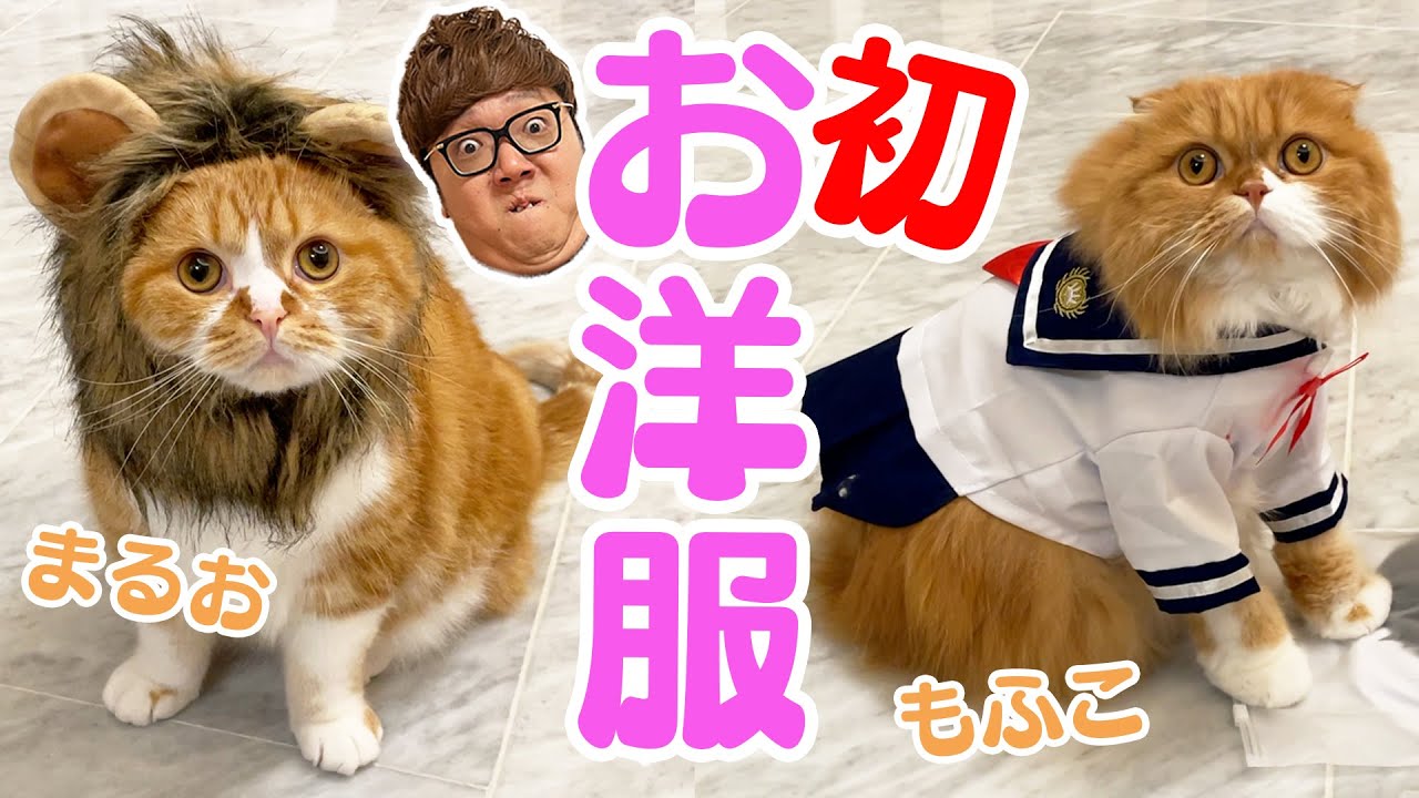 HIKAKIN😎ヒカキン 【YouTuber】 on X: 