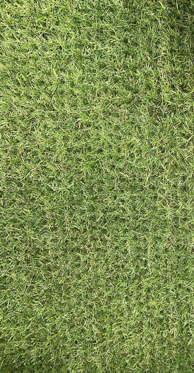 #SISGrass Installation underway at @AlJazira_uae_EN in 🇦🇪 for the upcoming  <a href="/FIFAcom/">FIFA</a> Club World Cup.

Pitch maintained by <a href="/SISPitchesME/">SIS Pitches ME</a> 

<a href="/SISPitches/">SIS Pitches</a>