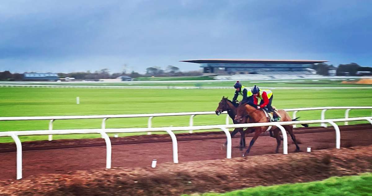 MDOCallaghan's tweet image. *Riders Required*

6 mornings a week 
€16.50 per hour
Experience riding racehorses necessary. 

Contact the office on 045456502 or email info@michaelocallaghan.ie