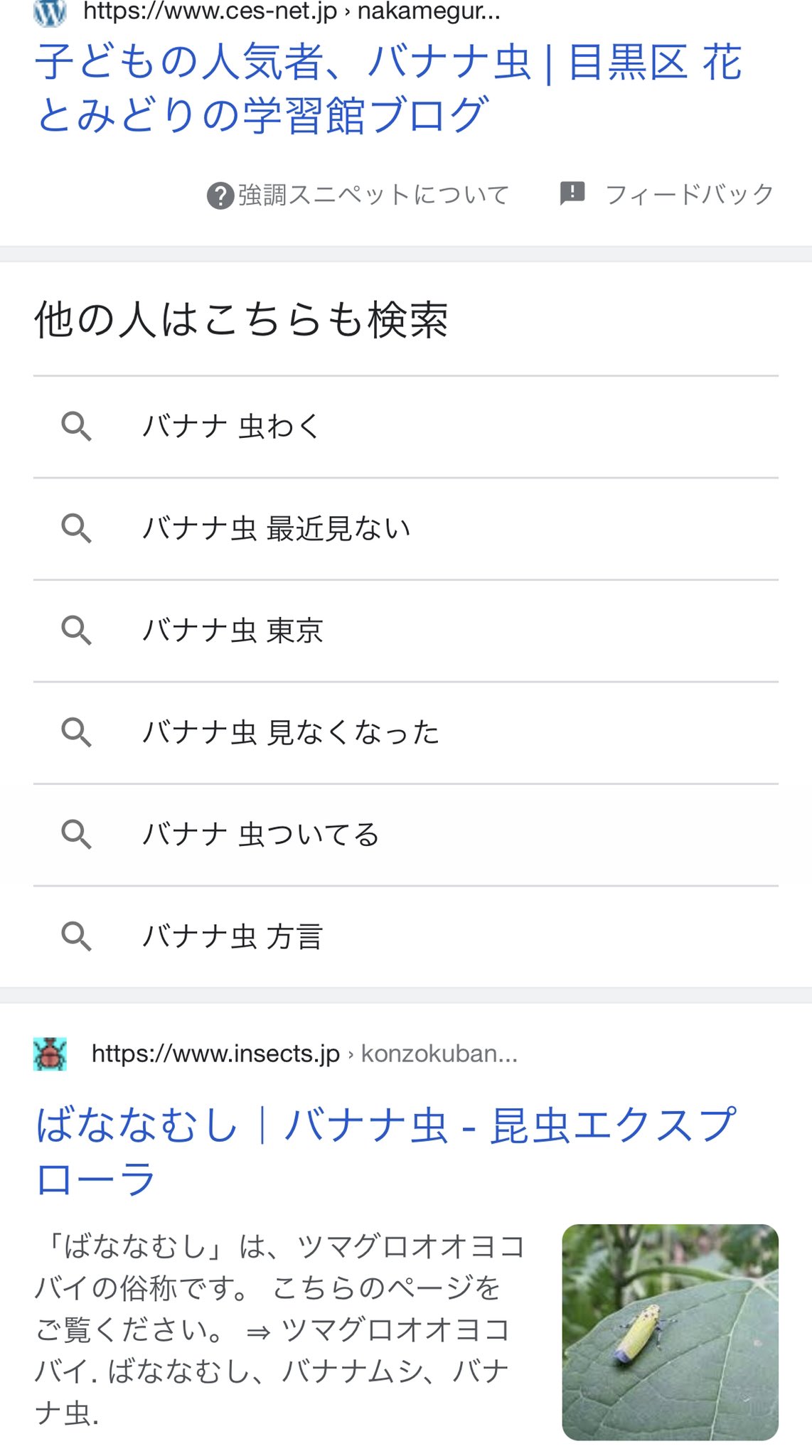 バナナ虫 Twitter Search Twitter