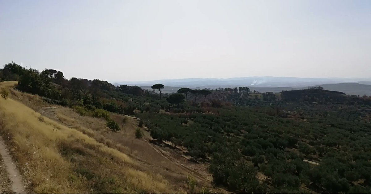 GianniBuononato's tweet photo. Mi piacciono gli #scatti che raccontino la particolarità dei posti che visito. Un #trattore,una via #lastricata, un #belvedere. Le cose semplici possono disintossicare dalla frenesia delle grandi città. E' importante predisporsi verso la #lentezza e la #consapevolezza.#QuiEdOra😌 https://t.co/Xkn0biCpyq