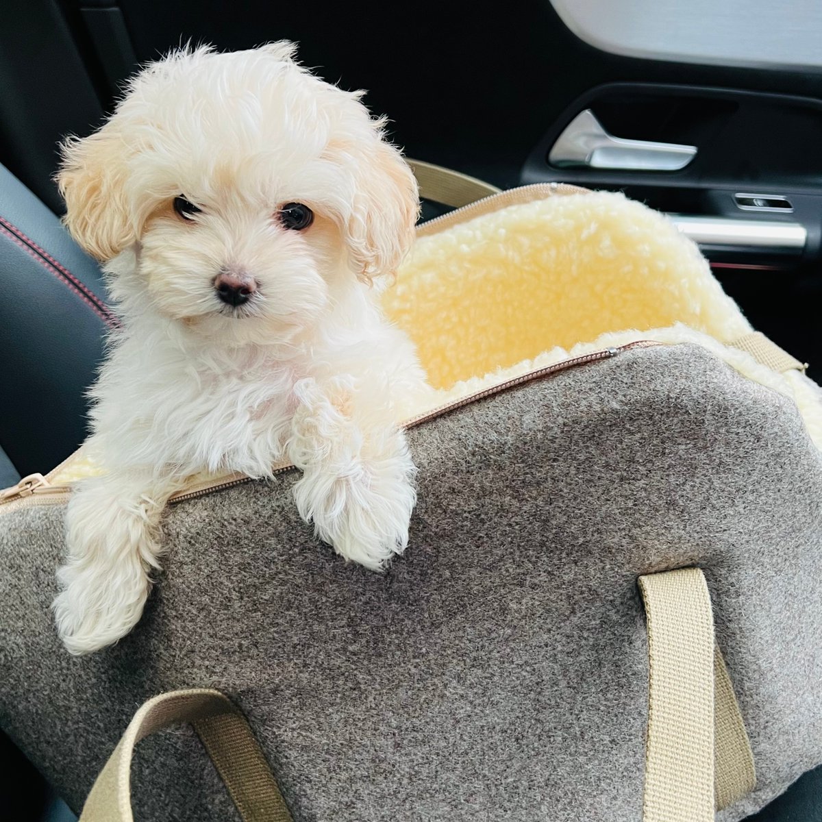 Richard Corsie MBE (richard_corsie) Twitter