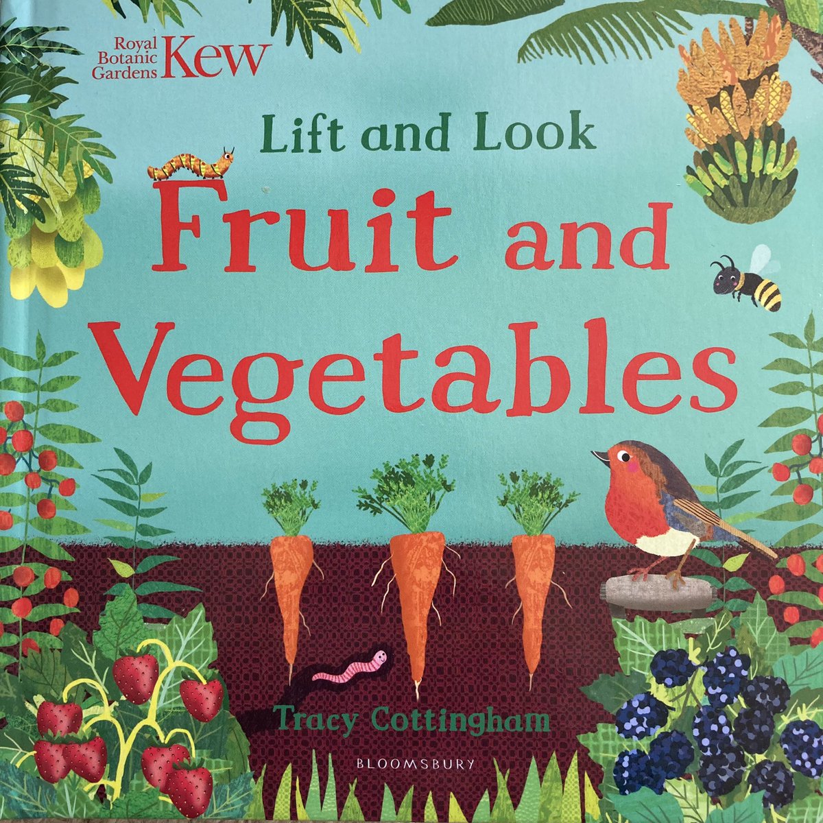 Tracy Cottingham tweet media