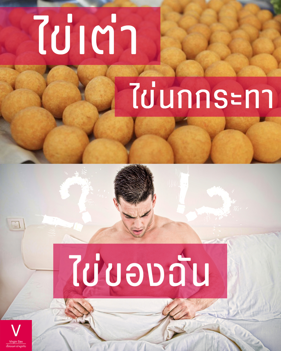 VirginSex4's tweet photo. #เรื่องเพศสัมพันธ์ #VirginSexเสรี https://t.co/Sa4DZEYhQY