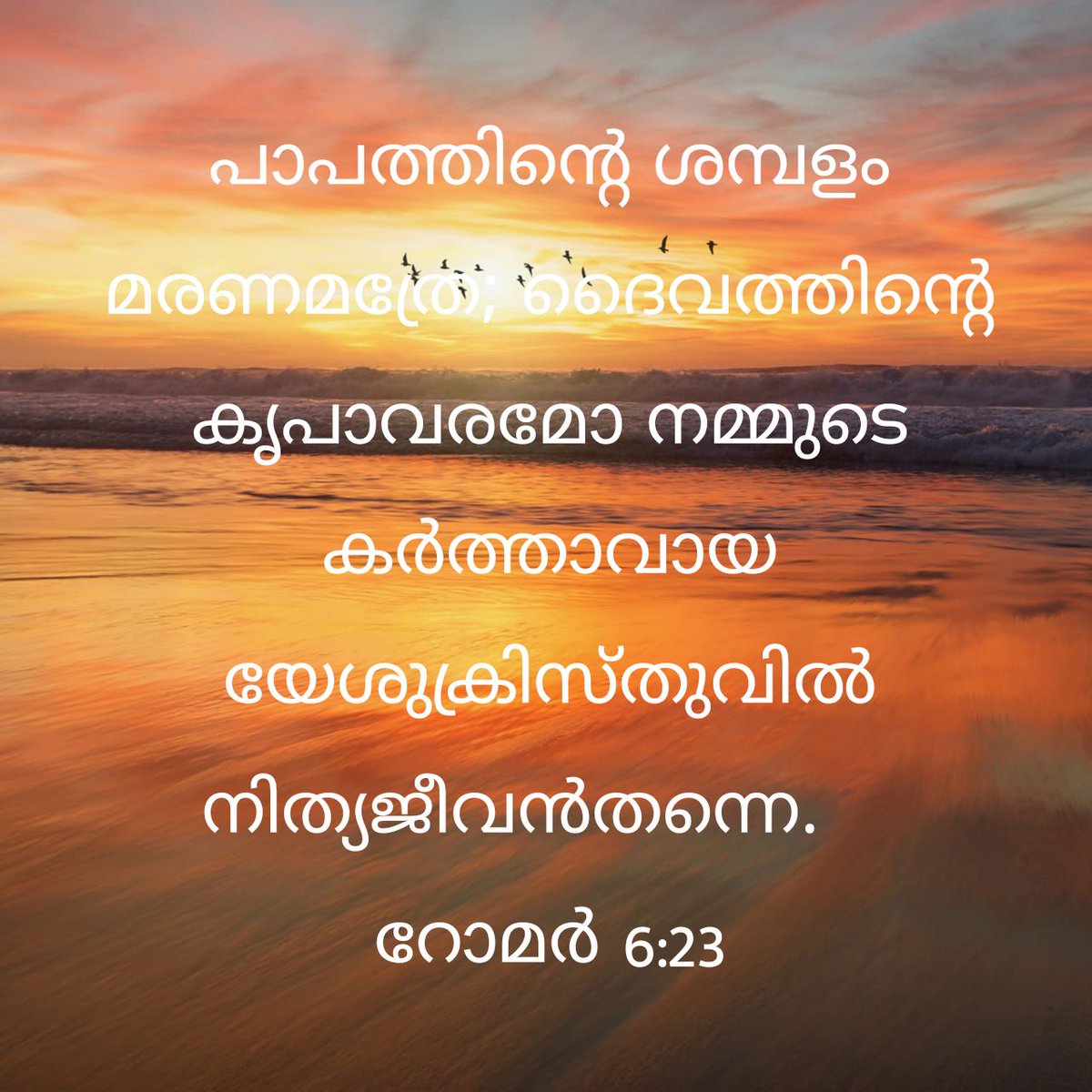 thensbtech's tweet image. For the wages which sin pays is death, but the [bountiful] free gift of God is eternal life through (in union with) Jesus Christ our Lord.
Romans 6:23 AMPC
bible.com/bible/8/rom.6.…