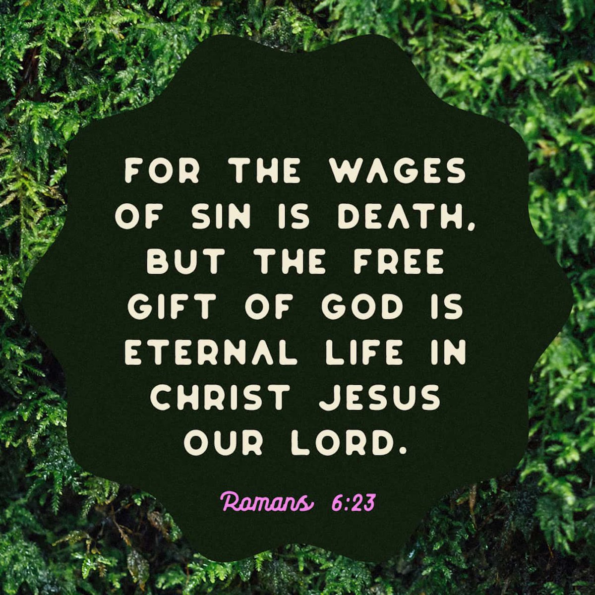 thensbtech's tweet image. For the wages which sin pays is death, but the [bountiful] free gift of God is eternal life through (in union with) Jesus Christ our Lord.
Romans 6:23 AMPC
bible.com/bible/8/rom.6.…