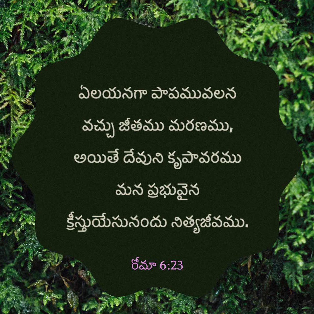 thensbtech's tweet image. For the wages which sin pays is death, but the [bountiful] free gift of God is eternal life through (in union with) Jesus Christ our Lord.
Romans 6:23 AMPC
bible.com/bible/8/rom.6.…