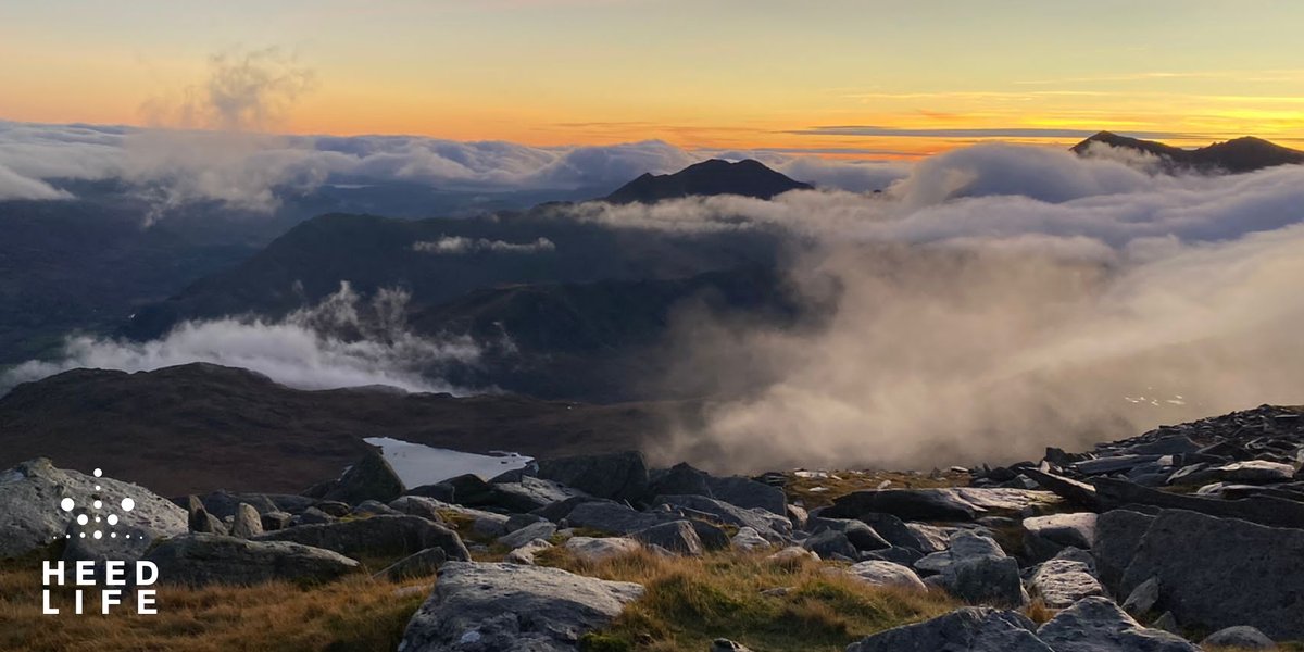 HeedLife's tweet image. Our team of wellness experts are passionate about helping improve people's mental and physical health, and have designed a range of expertly formulated oils &amp;amp; supplements to help YOU be the best version of yourself 🙌

Browse our range here - bit.ly/3zuHLJr

#cbdwellness