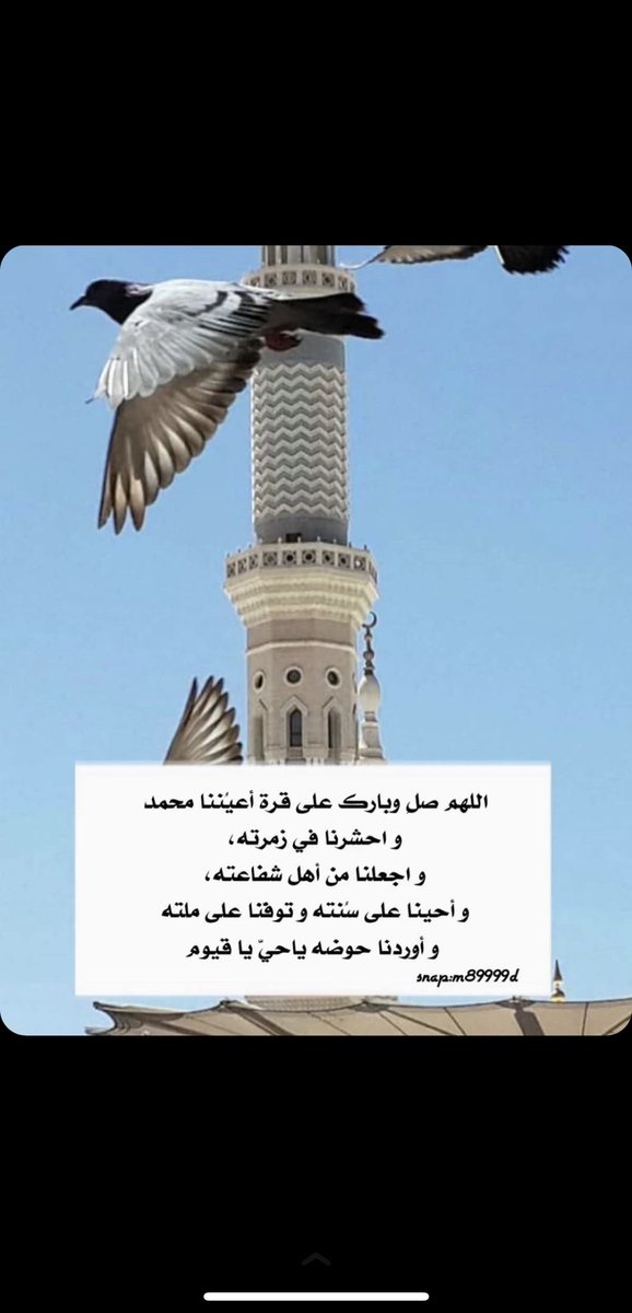 hanady95_'s tweet photo. #يوم_الجمعه  اللهم قدَراً جميلاً ، وخيراً يتبعهُ رضا .. 🤍 جمعة مباركة 🌹 https://t.co/rdITkbgXIP