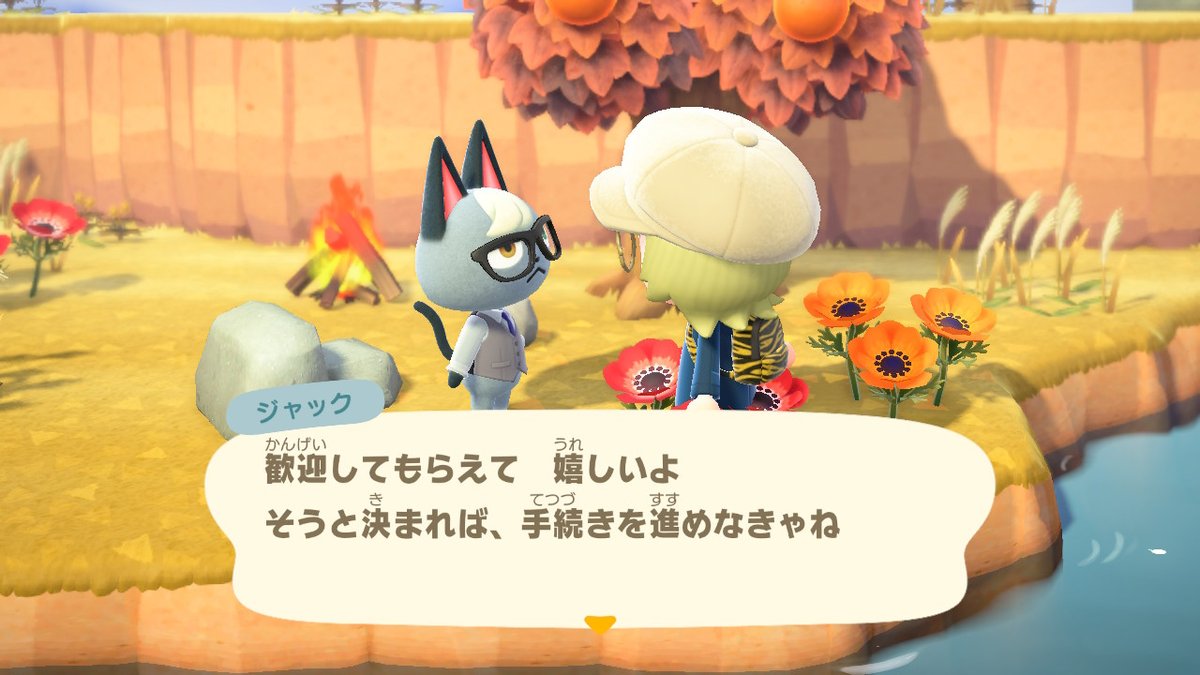 mo2_crochet's tweet photo. Twitterを放置し過ぎてどんな内容で再開しようか迷っていましたが、離島ツアーで念願のジャック様に出逢うことが叶ったのでツイートさせて頂きました。

 #どうぶつの森 #ACNH https://t.co/8yaSCNwFiy
