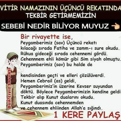 AK_ŞAFAKYILDIZI®EVET tweet media