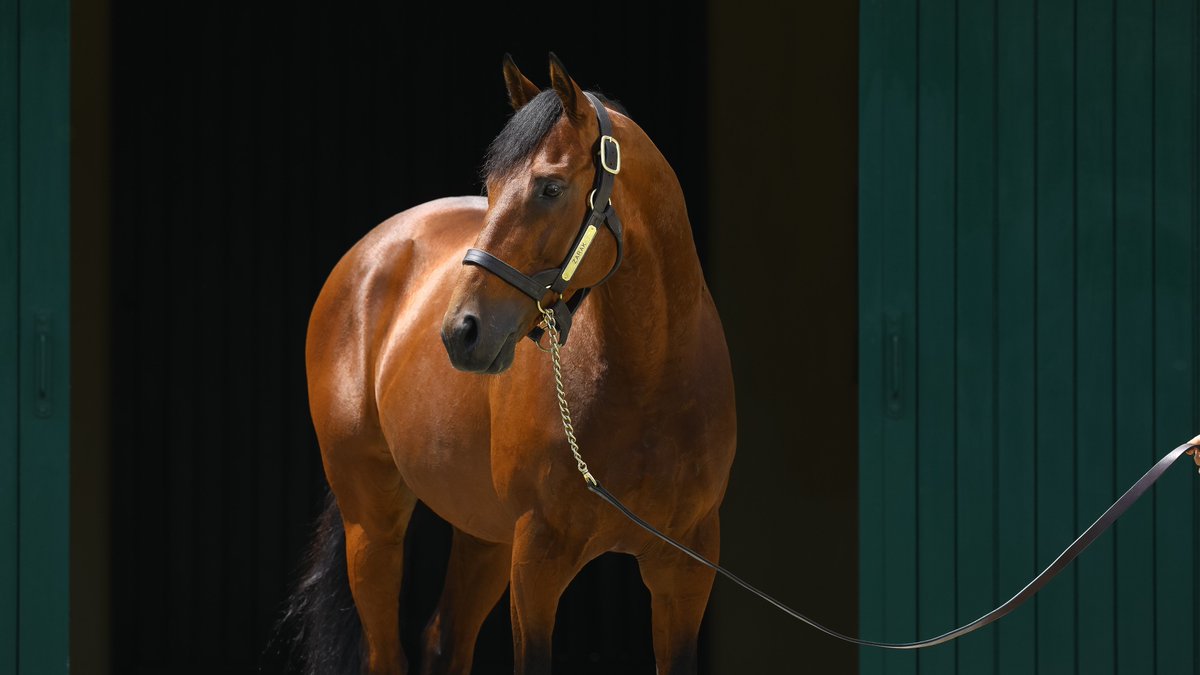 Aga Khan Studs tweet media