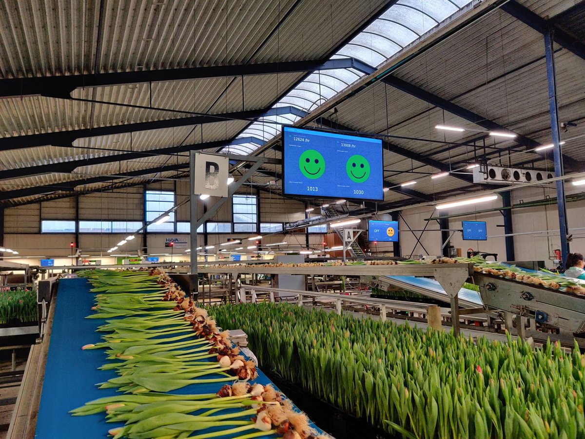 Bosman Van Zaal tweet media