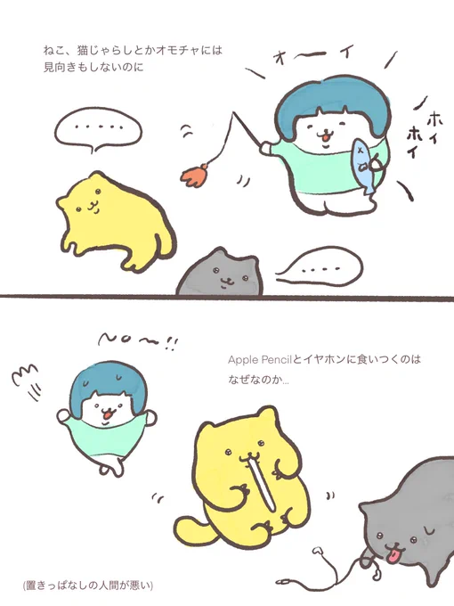 ねこ、なぜなのか 