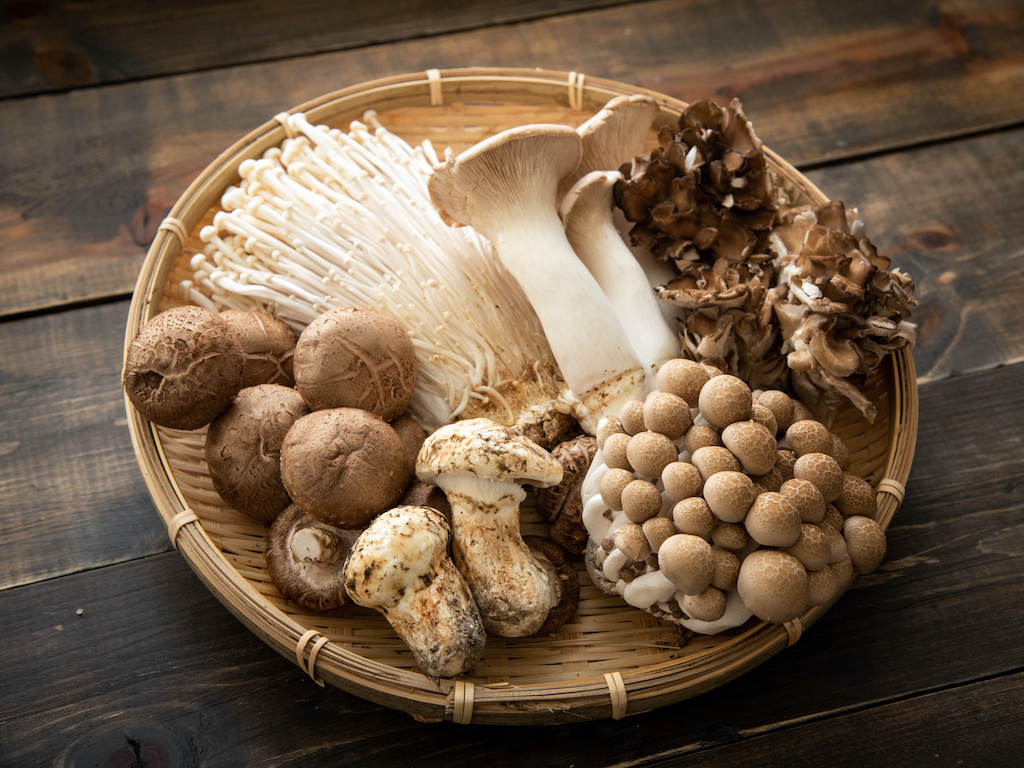 adipofat's tweet photo. Mushrooms 🍄  are rich in bioactive compounds

A recent meta-Analysis shows that higher mushroom 🍄consumption Is associated with lower risk of cancer (especially breast cancer)
https://t.co/7ExuvA01dq
@FinutOrg @javierbutra https://t.co/vkYGx0F2kj