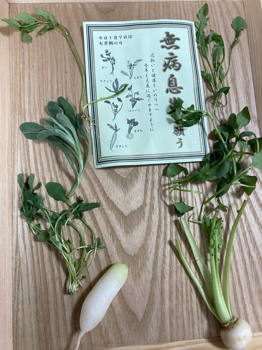 wormmimizu's tweet photo. スーパーで買った七草で七草粥を作りました。

どれがどの草か絵を見ながら合わせてみましたが、
せり、はこべら、ほとけのざ
あたりが怪しい。。。

今年は娘が初めて七草を切ってくれました。 https://t.co/tnJ0BgWHGu