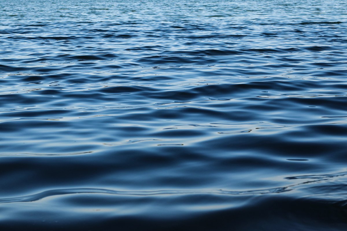 muneraonline's tweet photo. "Aqua Fons Vitae. Un appello per la soluzione dei problemi dell’acqua" di #GiuseppeRossi 
👉  https://t.co/9ZbsqchYDO 
#Dante700 #Dante2021 #Sviluppo #Acqua https://t.co/qmsPvNOW5Z