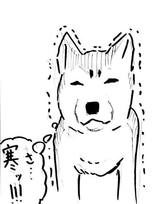@ymsta3 FF外から失礼します。超かわいいですね! 