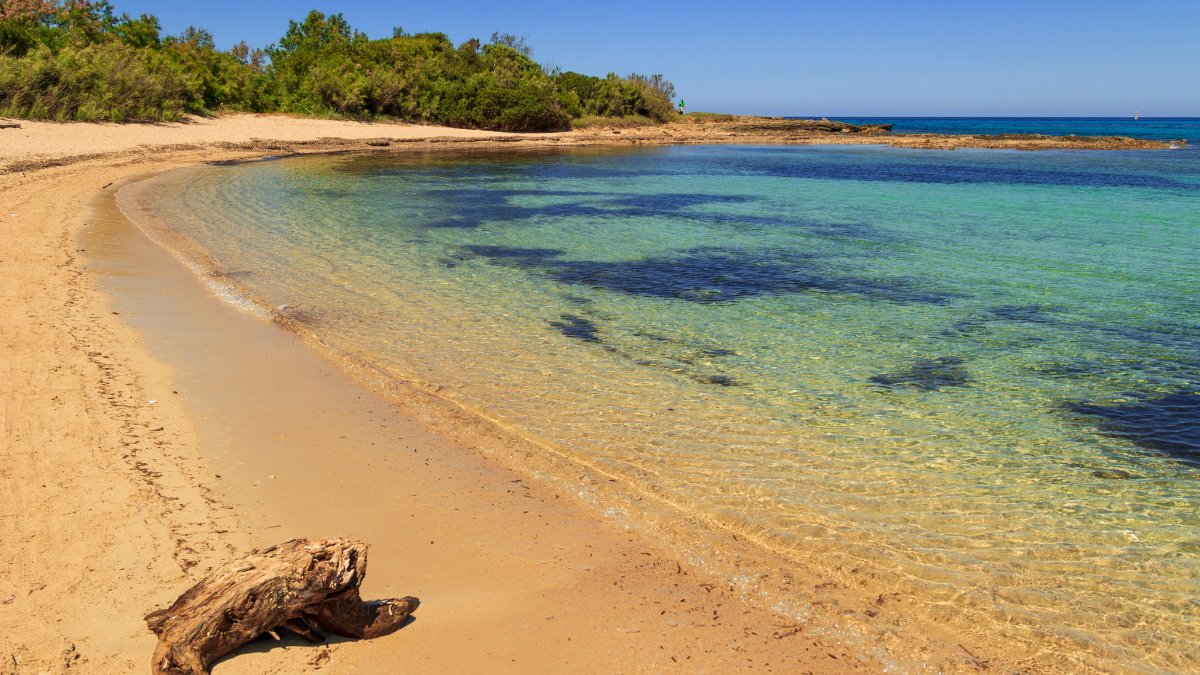 Fishers &amp; marine protected areas, a partnership for sustainability in the #Mediterranean Sea.

#FISHMPABLUE 2 project developed a participatory approach that involves fishers in the surveillance &amp; management of the #MPAs. With a little help from the 🇪🇺.

🔗ec.europa.eu/regional_polic…